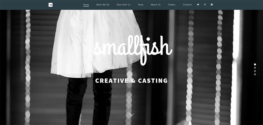 smallfish2